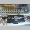 selmer_10_mazzeo_1